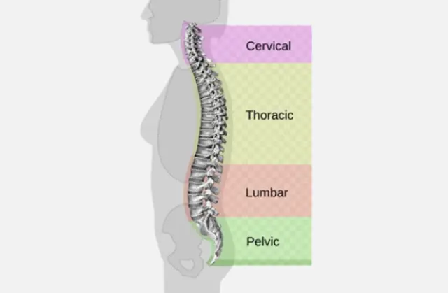 Lumbar Canal Stenosis Treatment Bangalore