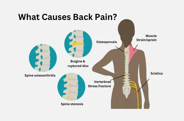 Neck Pain Treatment Bangalore