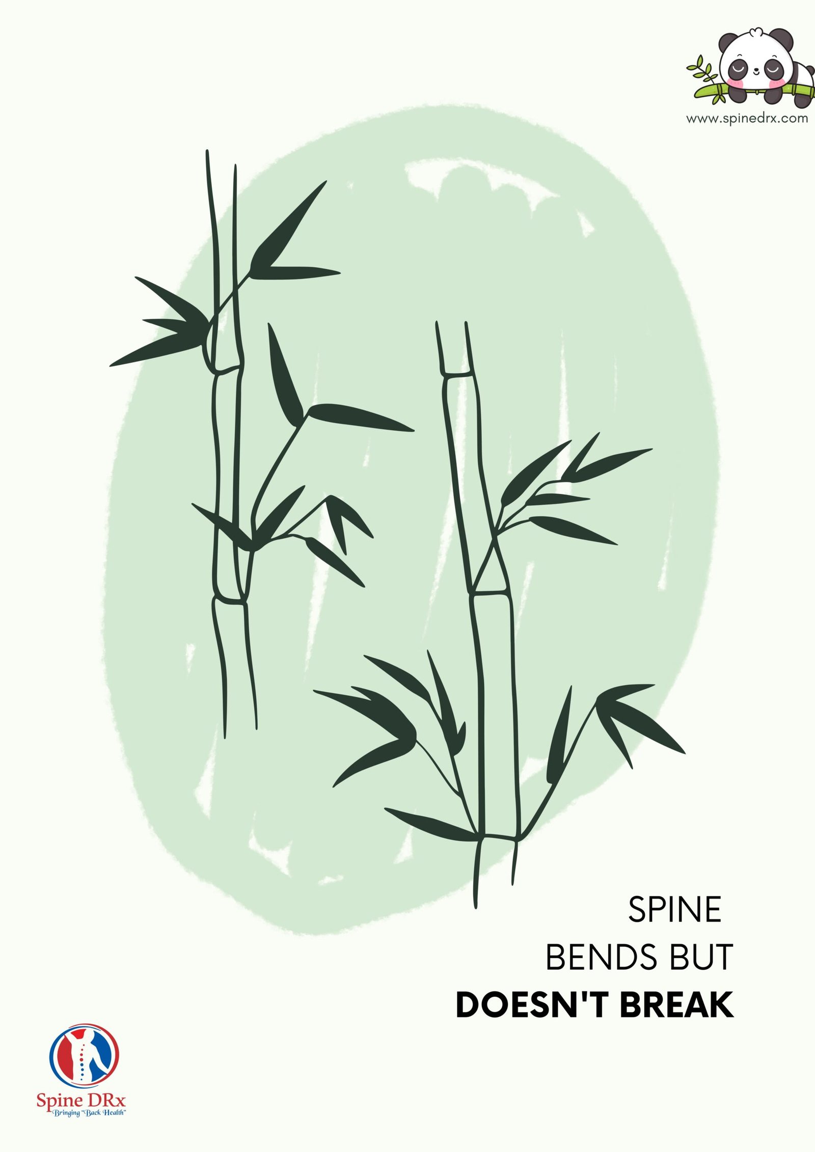 Spine & Bamboo