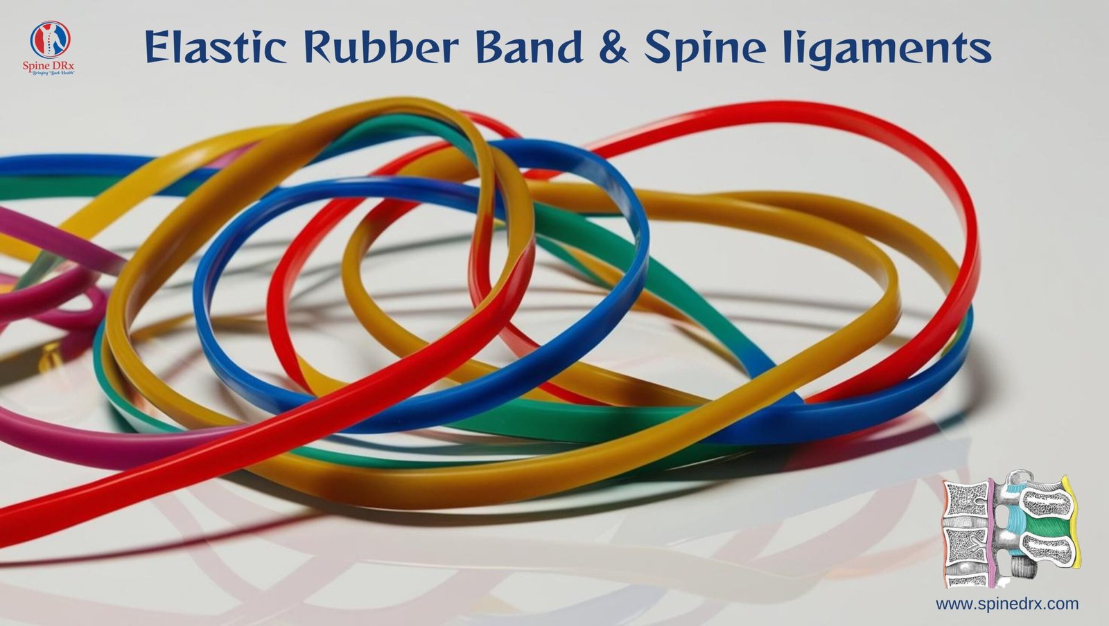 Spine & Elastic rubber band