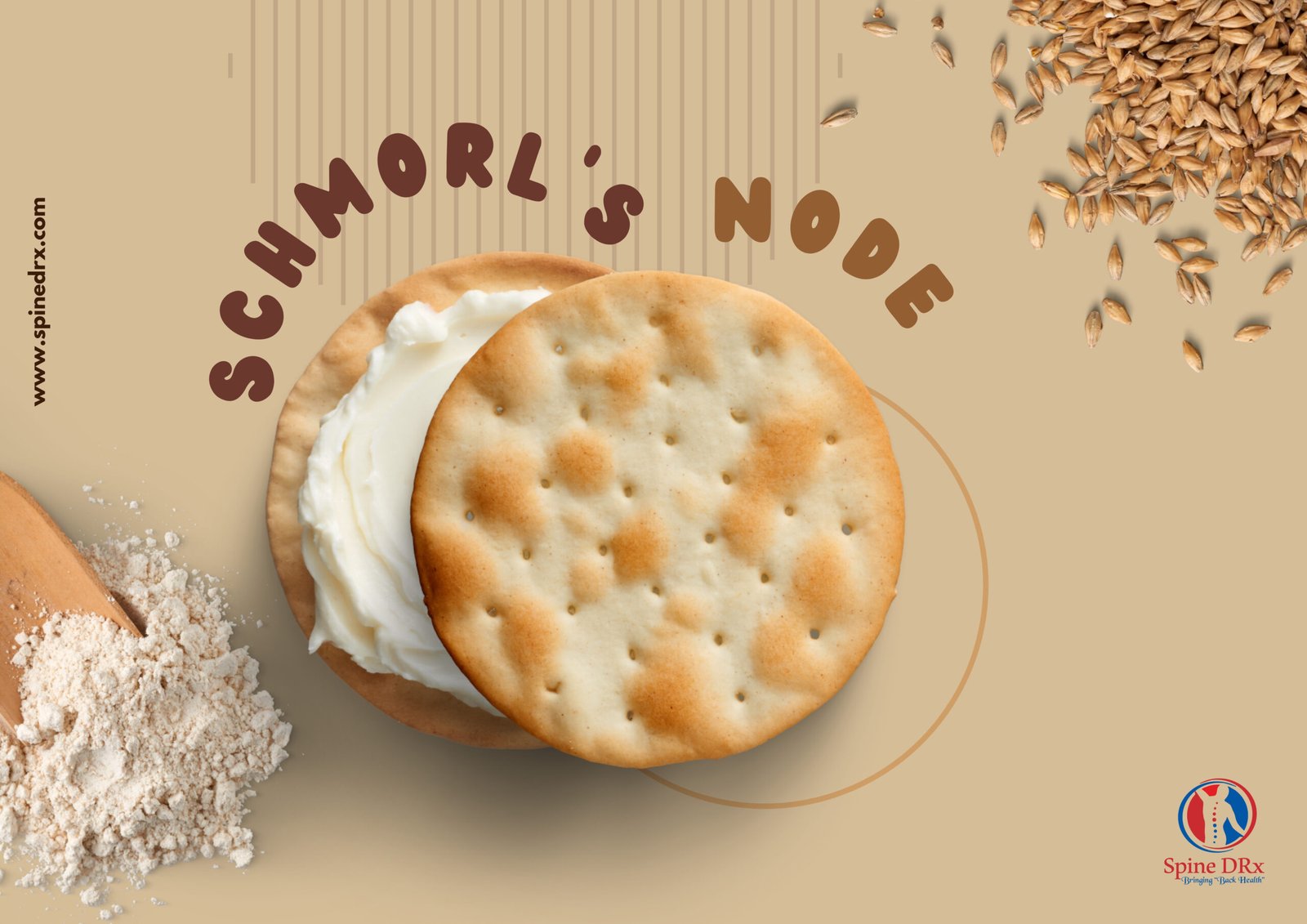 Spine – Schmorl’s Nodes
