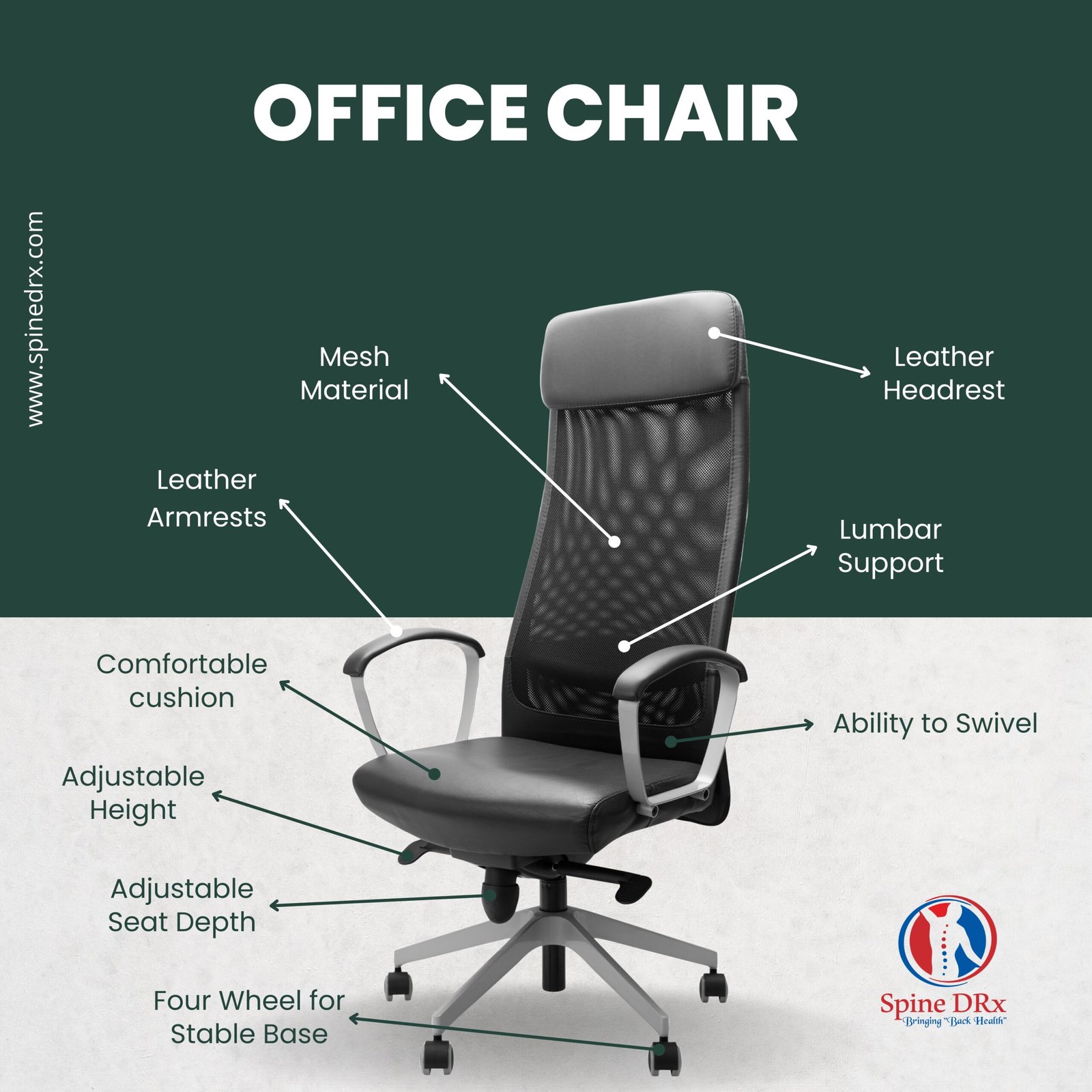 Spine & Office Chairs
