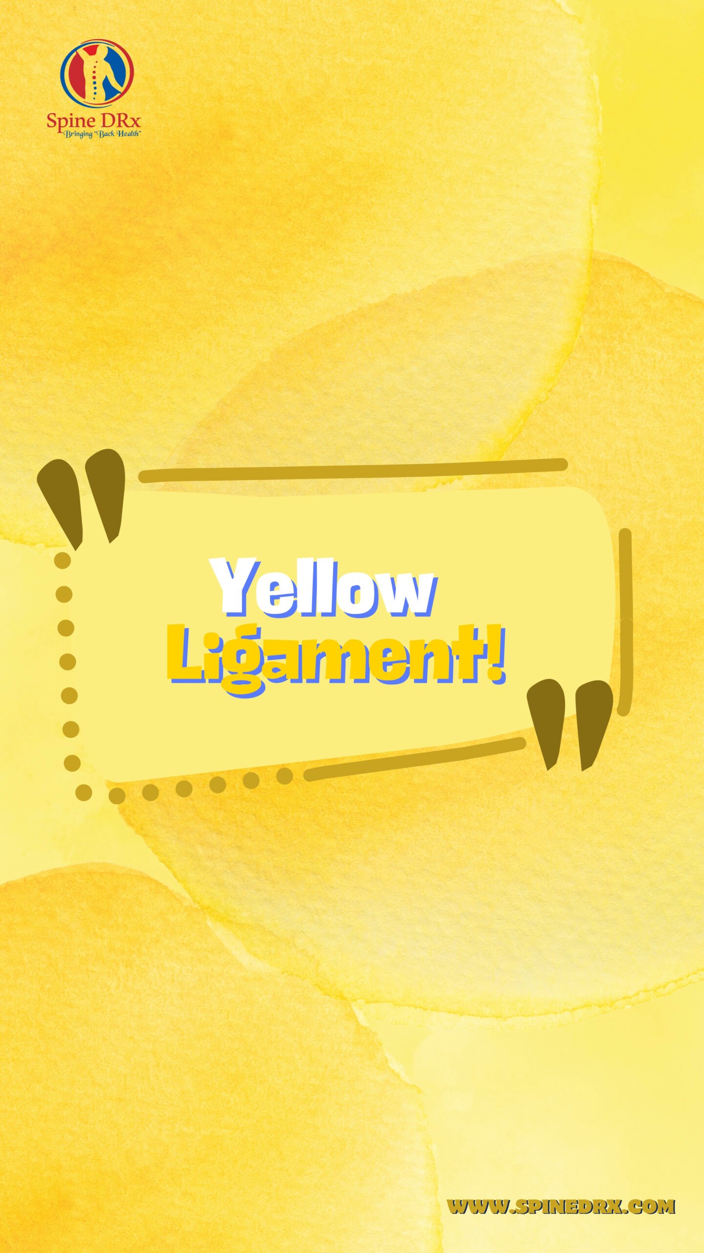 Spine & Yellow Ligament