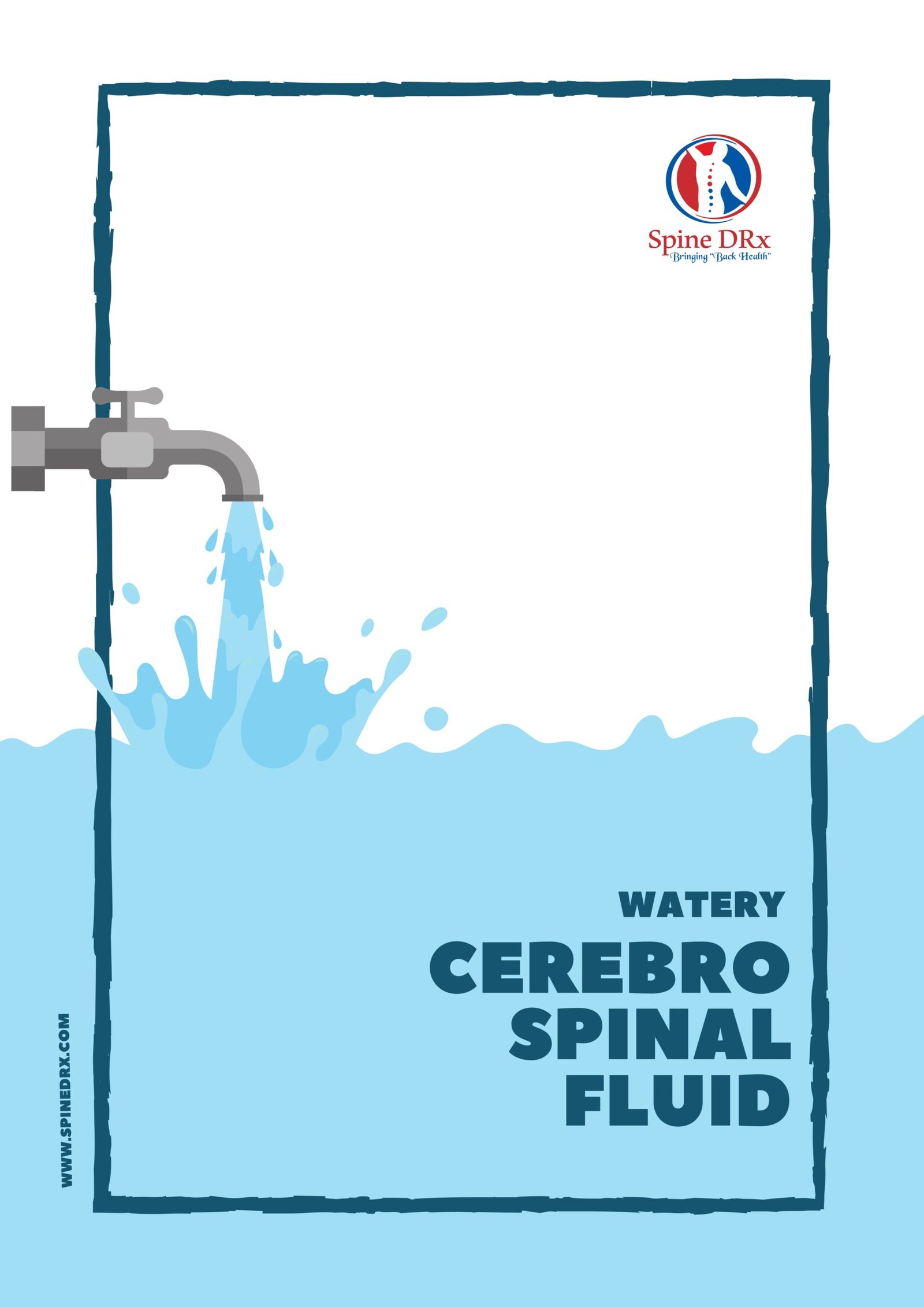 Spine & Water