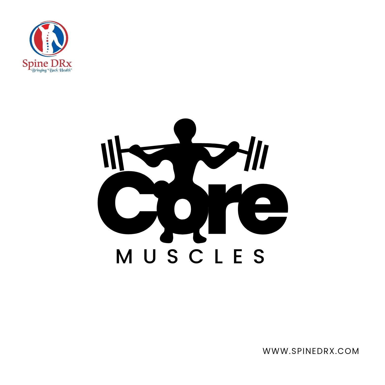 Spine & Muscle