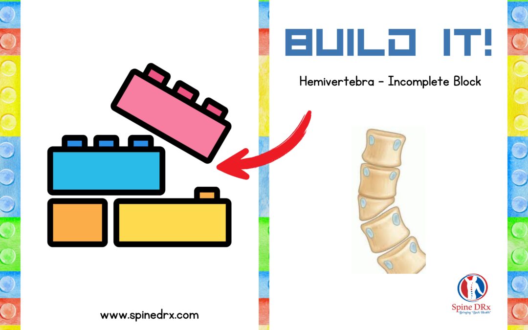 Spine & Building block
