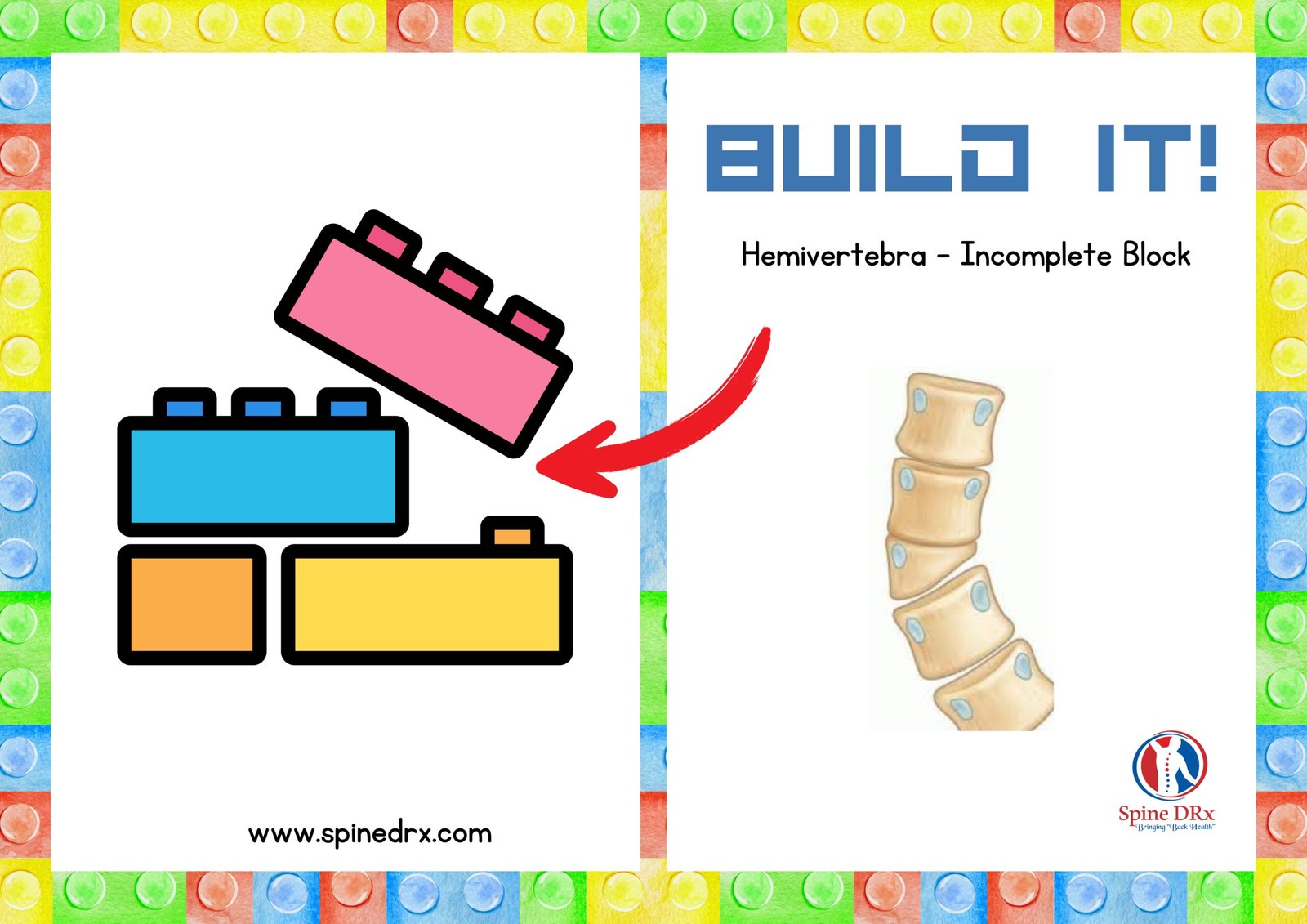Spine & Building block