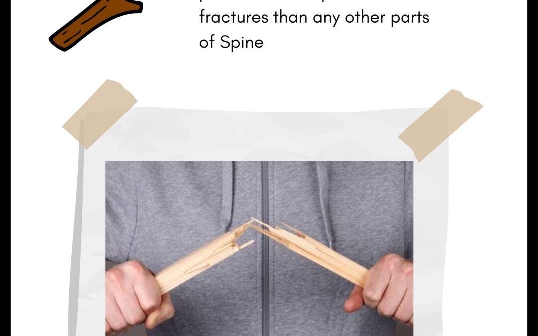 Spine & Wooden stick