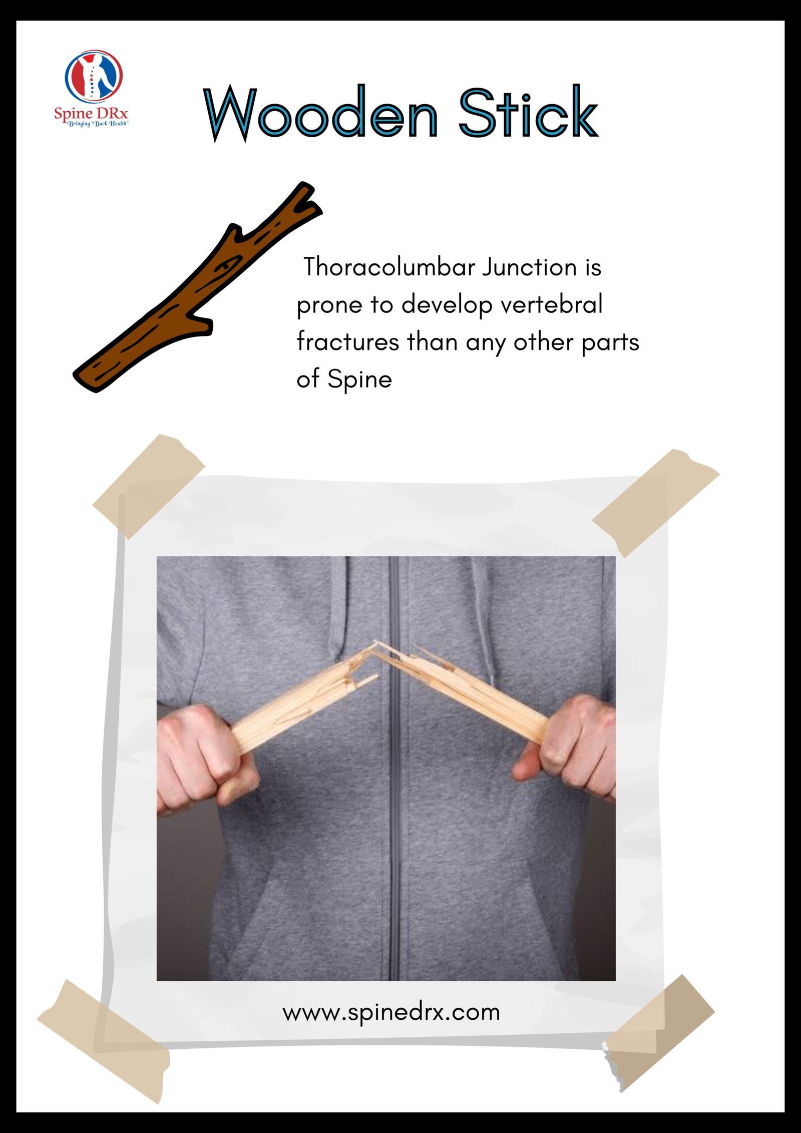 Spine & Wooden stick