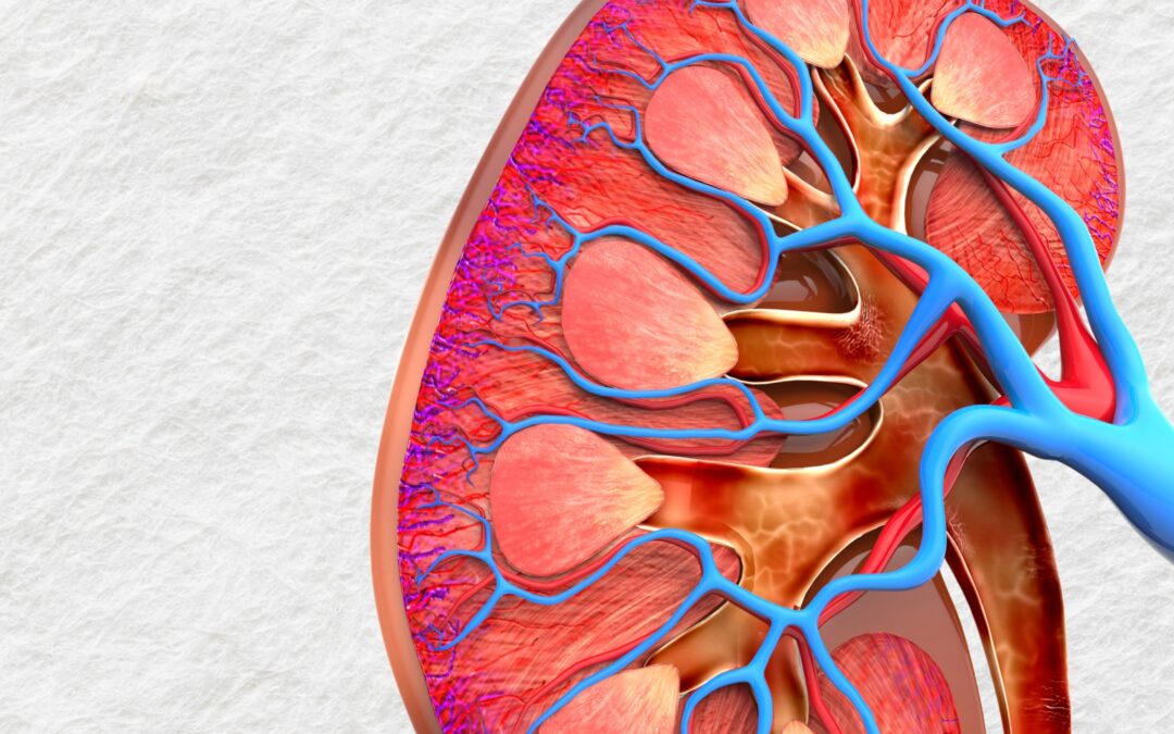 Spine & Dialysis