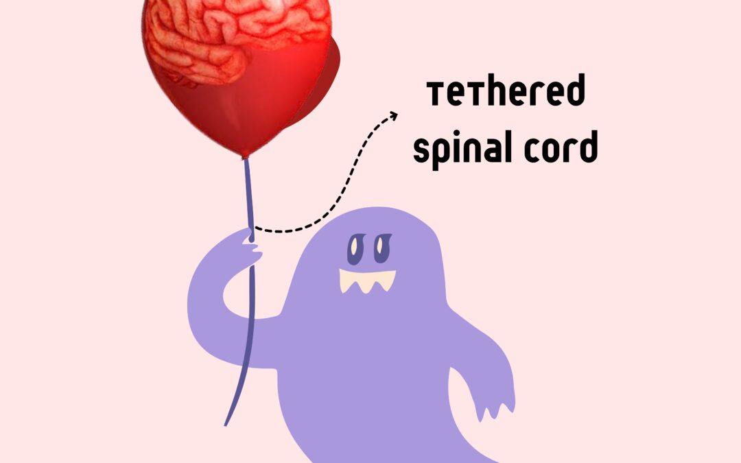 Spine & Tethered Spinal cord