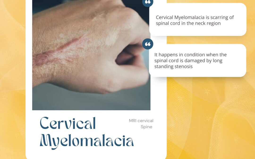 Spine & Spinal cord scarring