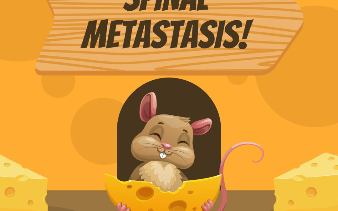 Spine & Metastasis