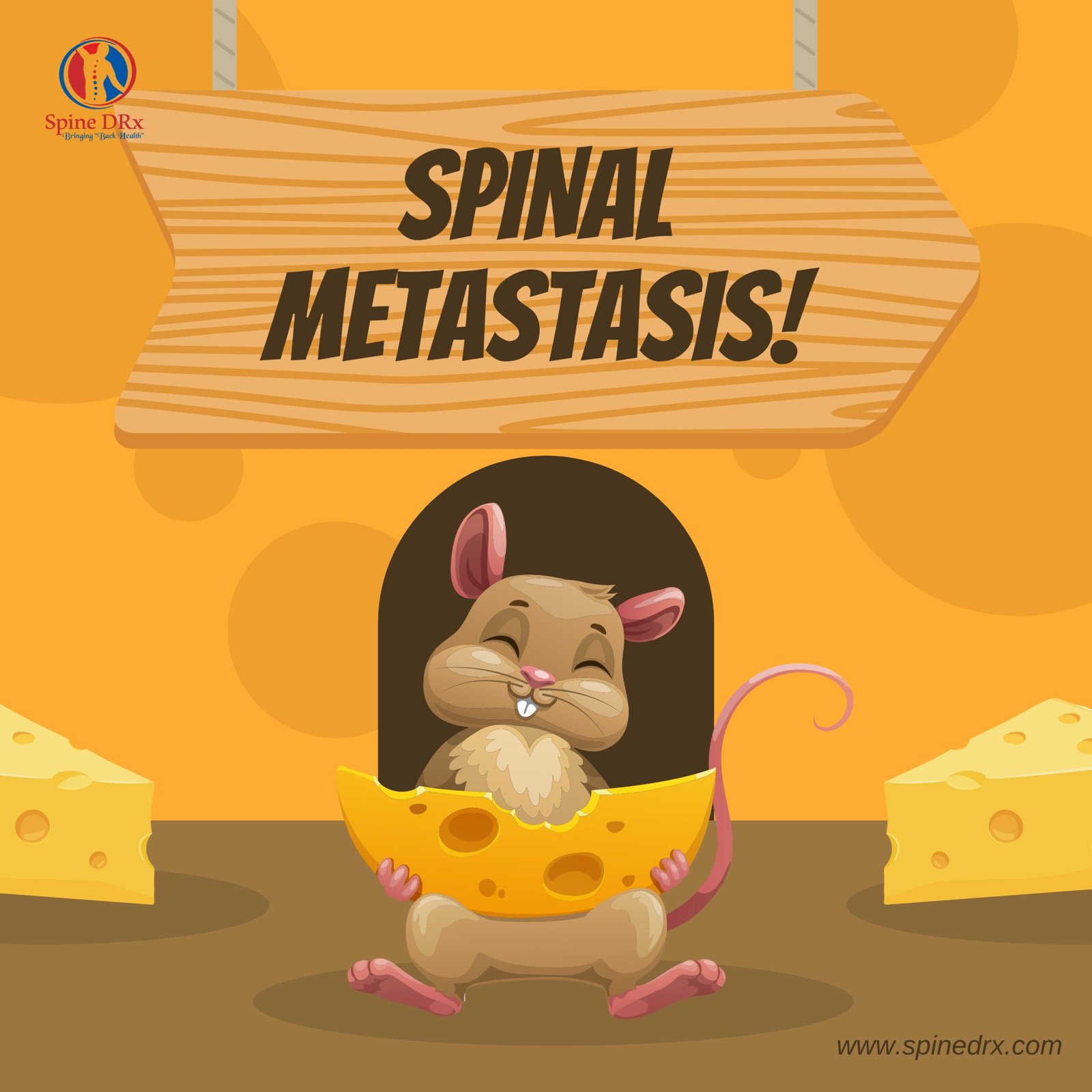 Spine & Metastasis