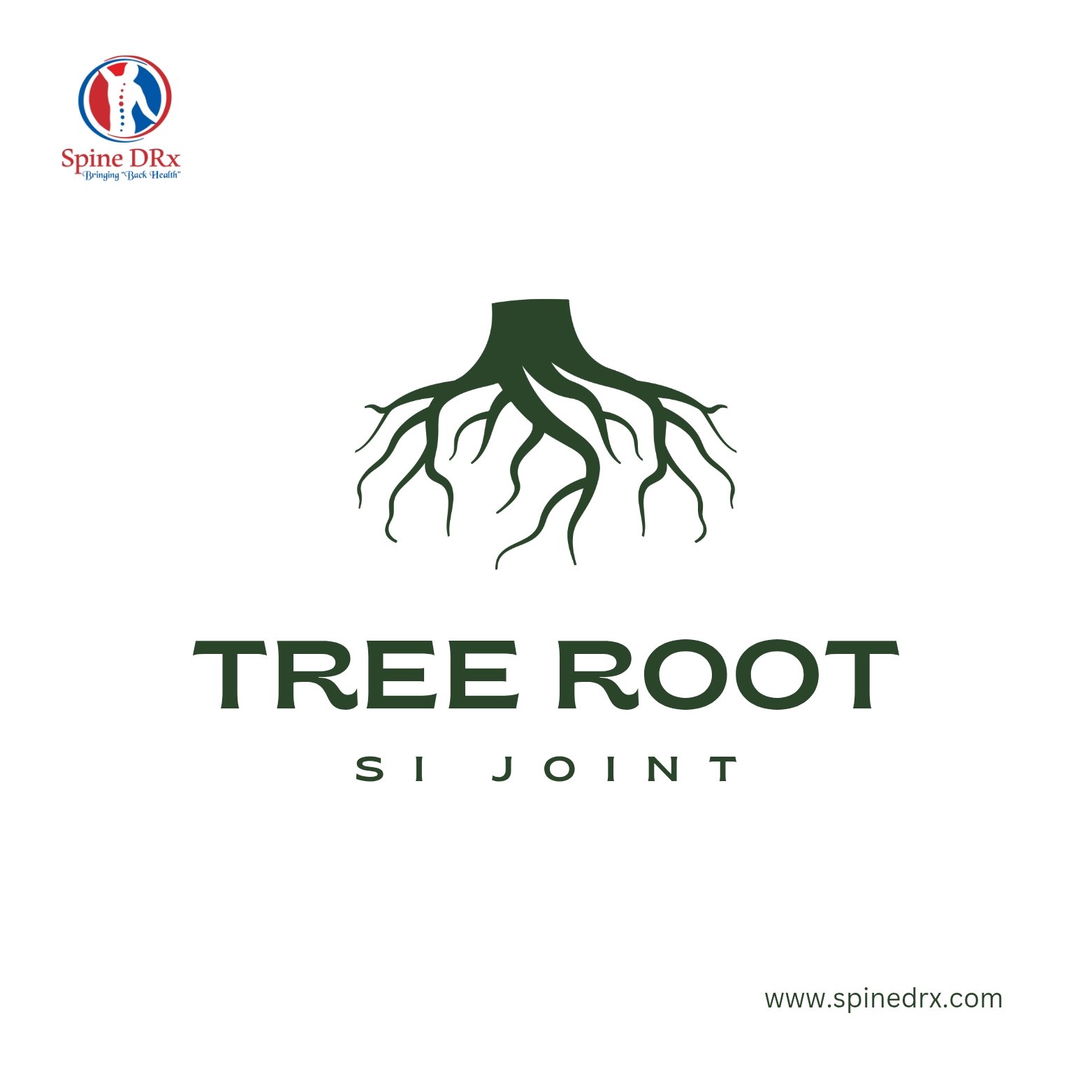 Spine & SI joint