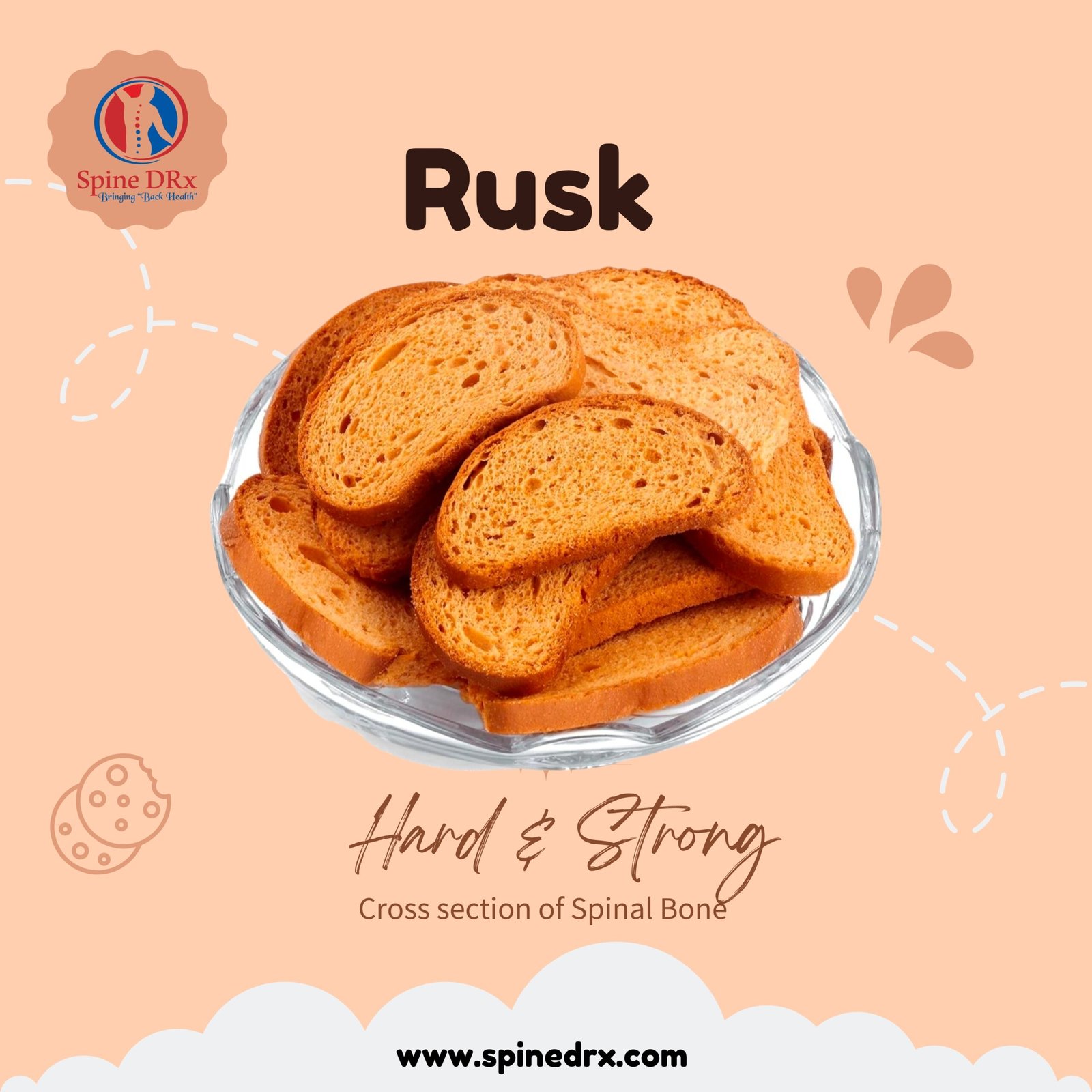 Spine & Rusk