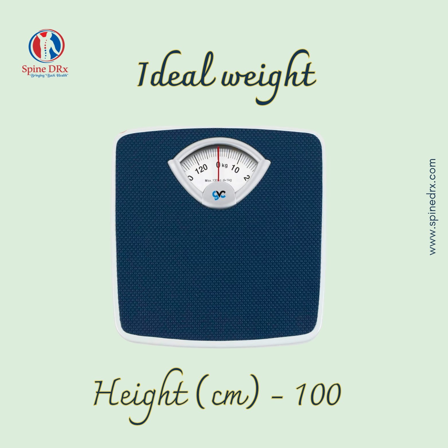 Spine & Weight