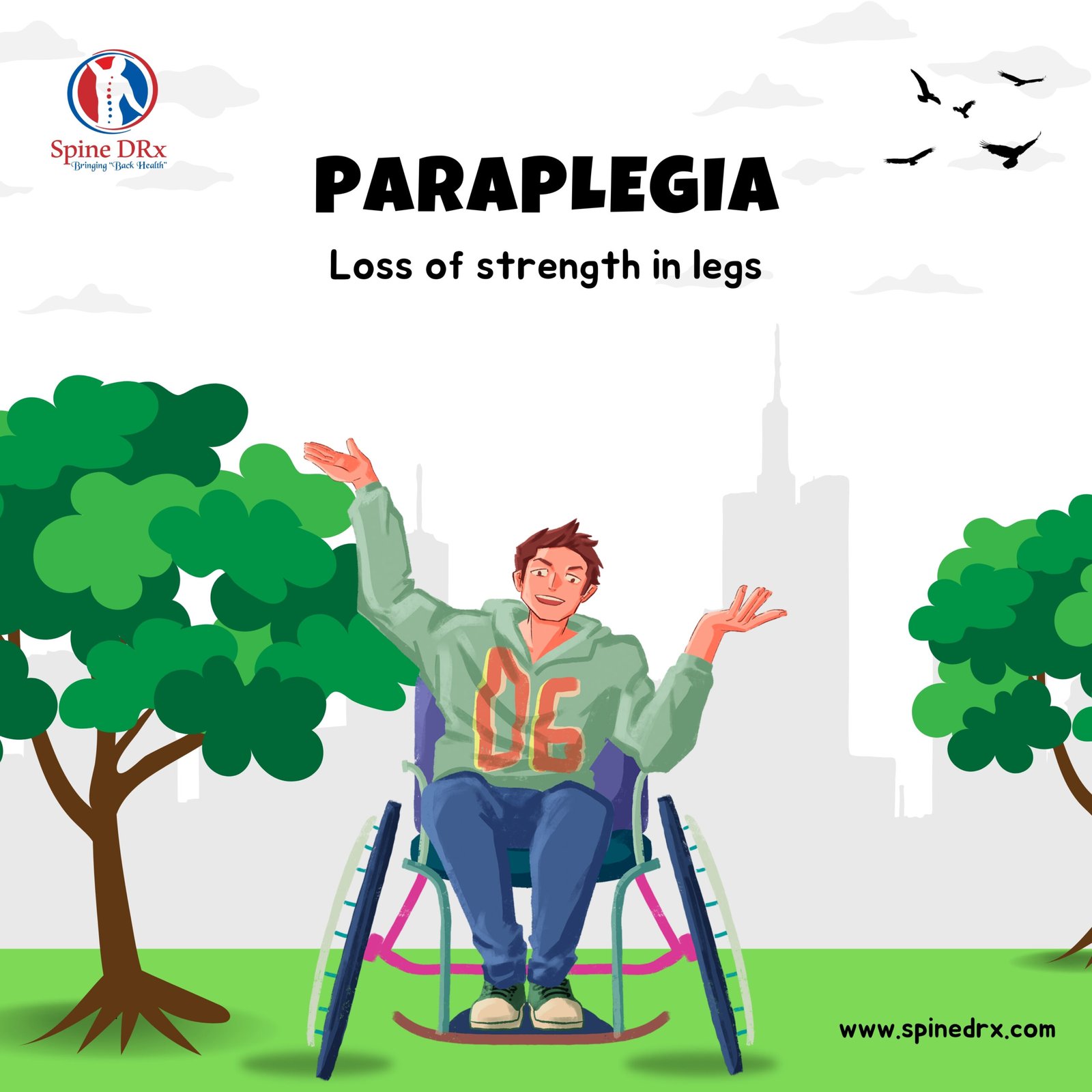 Spine & Paraplegia