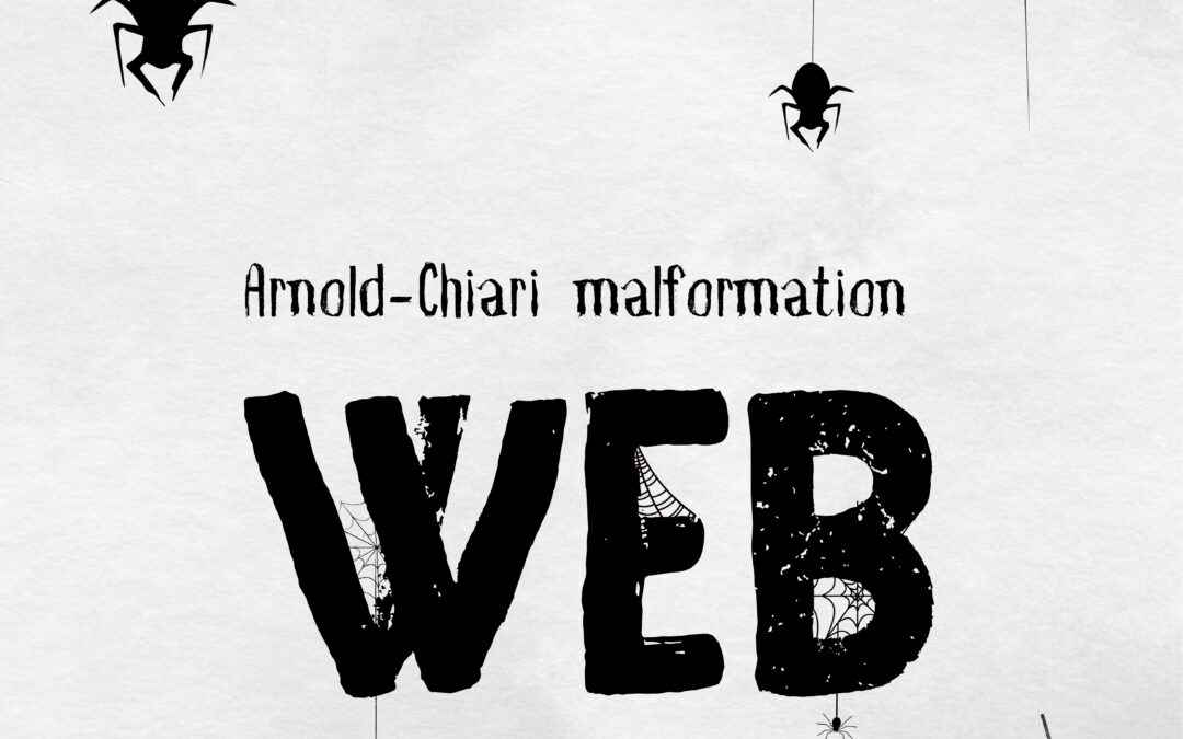 Spine & Web
