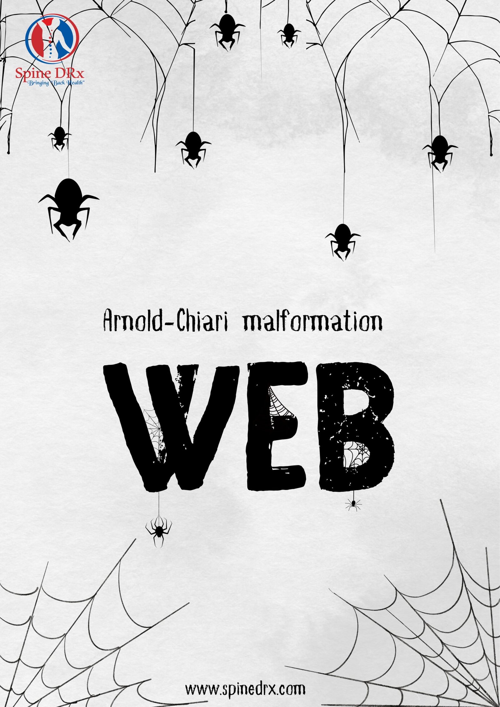 Spine & Web