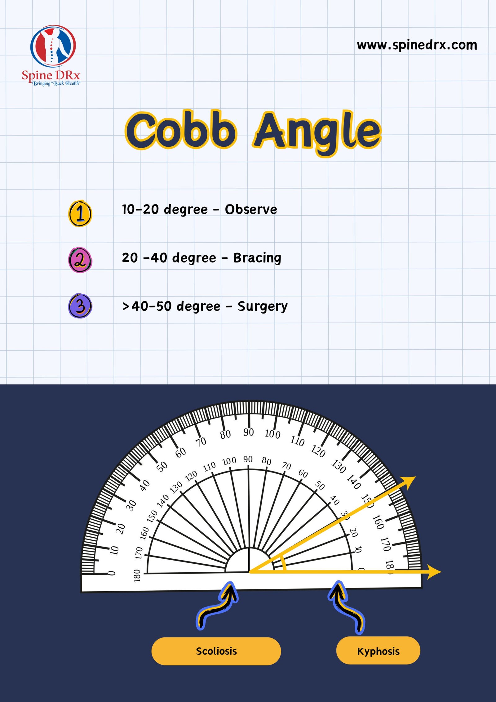 Spine & Cobb angle