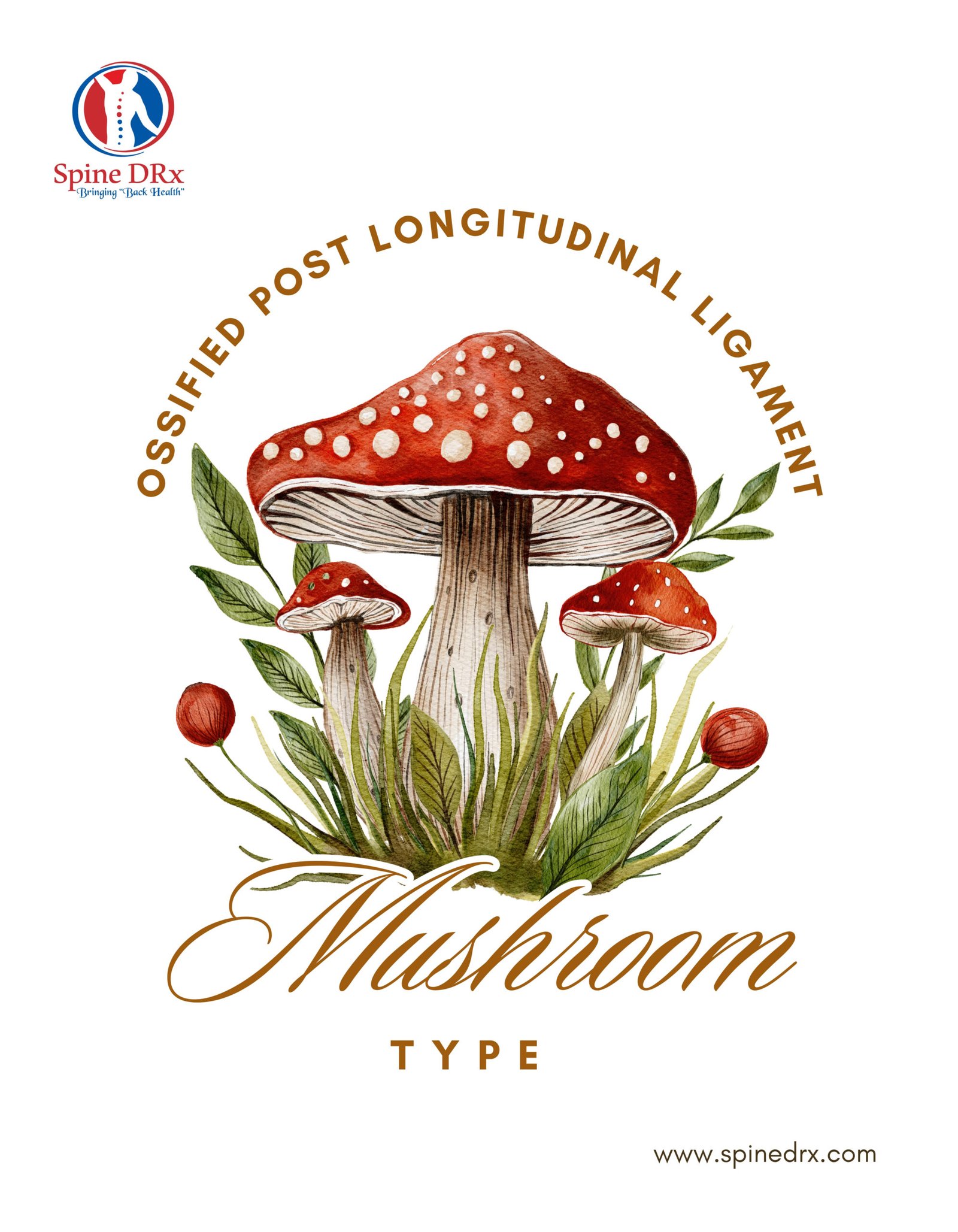 Spine & Mushroom